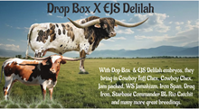 EJS Delilah X Drop Box
