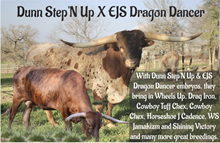 EJS Dragon Dancer X Dunn Step'N Up