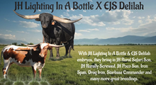 EJS Delilah X JH Lighting In A Bottle